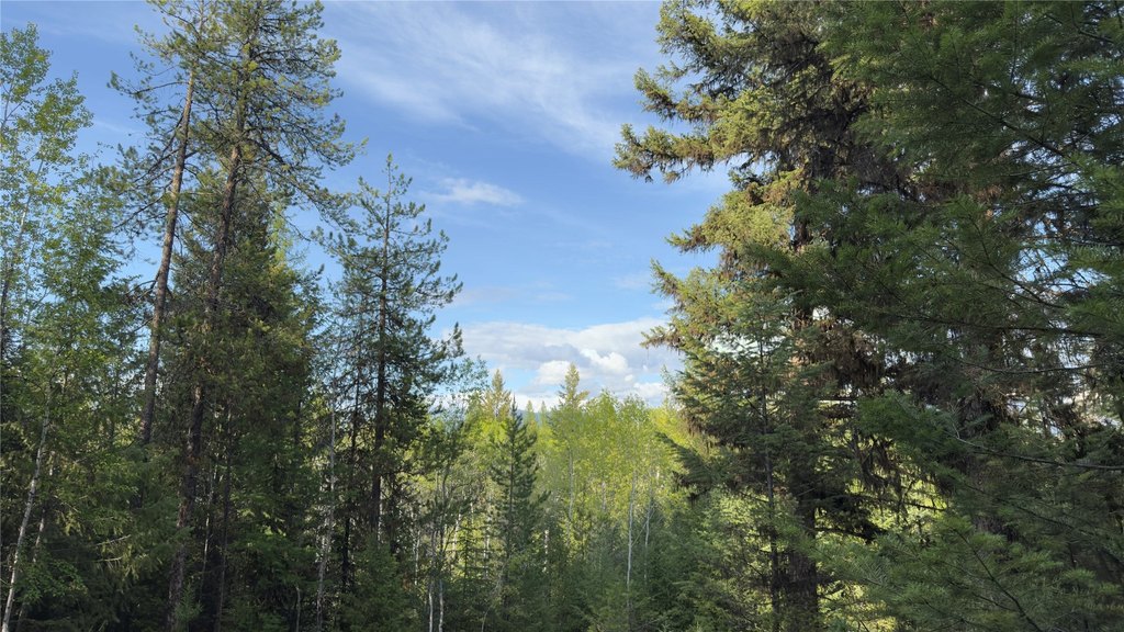 Picture 20