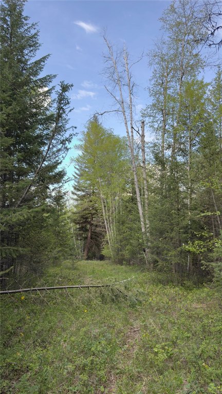 Picture 13