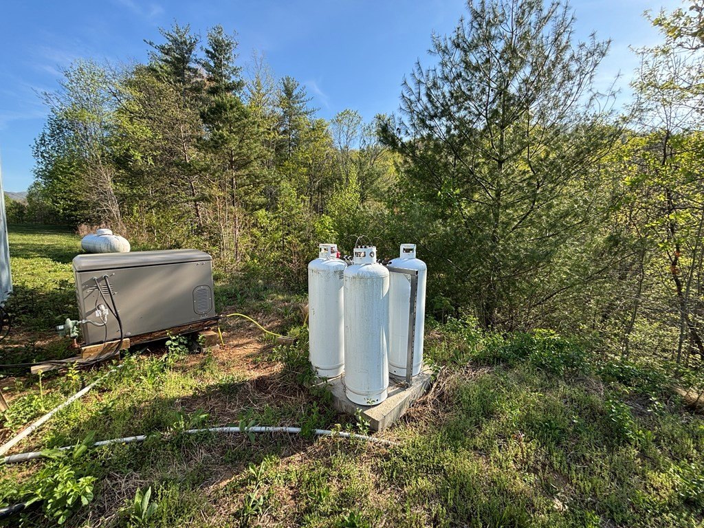 Picture 17