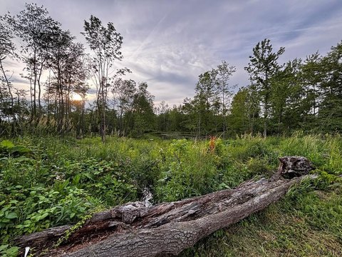 Lots/Land, Hooversville, PA