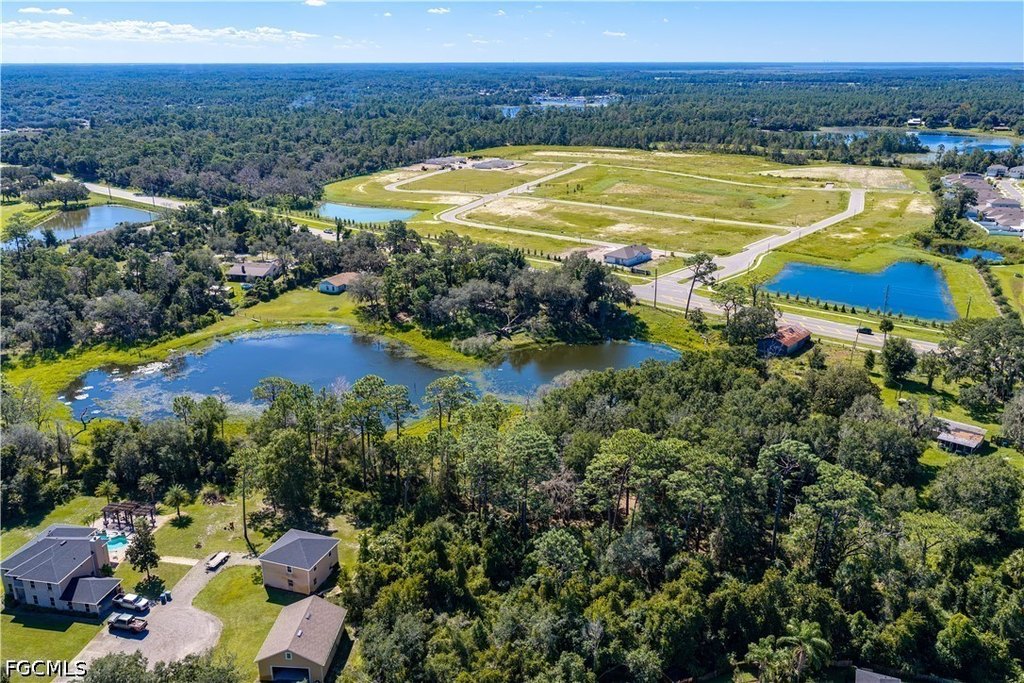 Picture 21