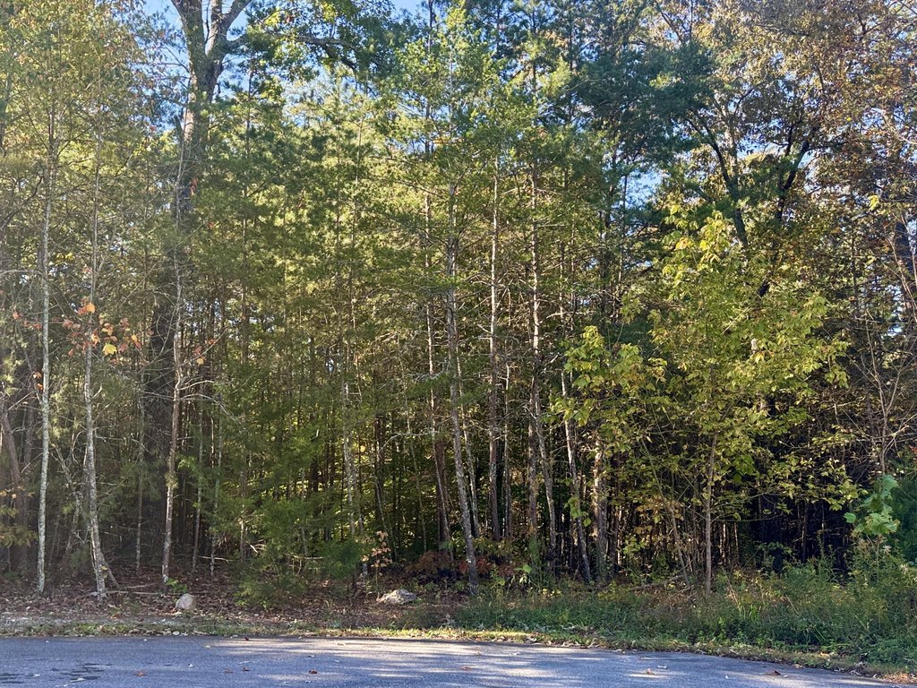 Picture 16