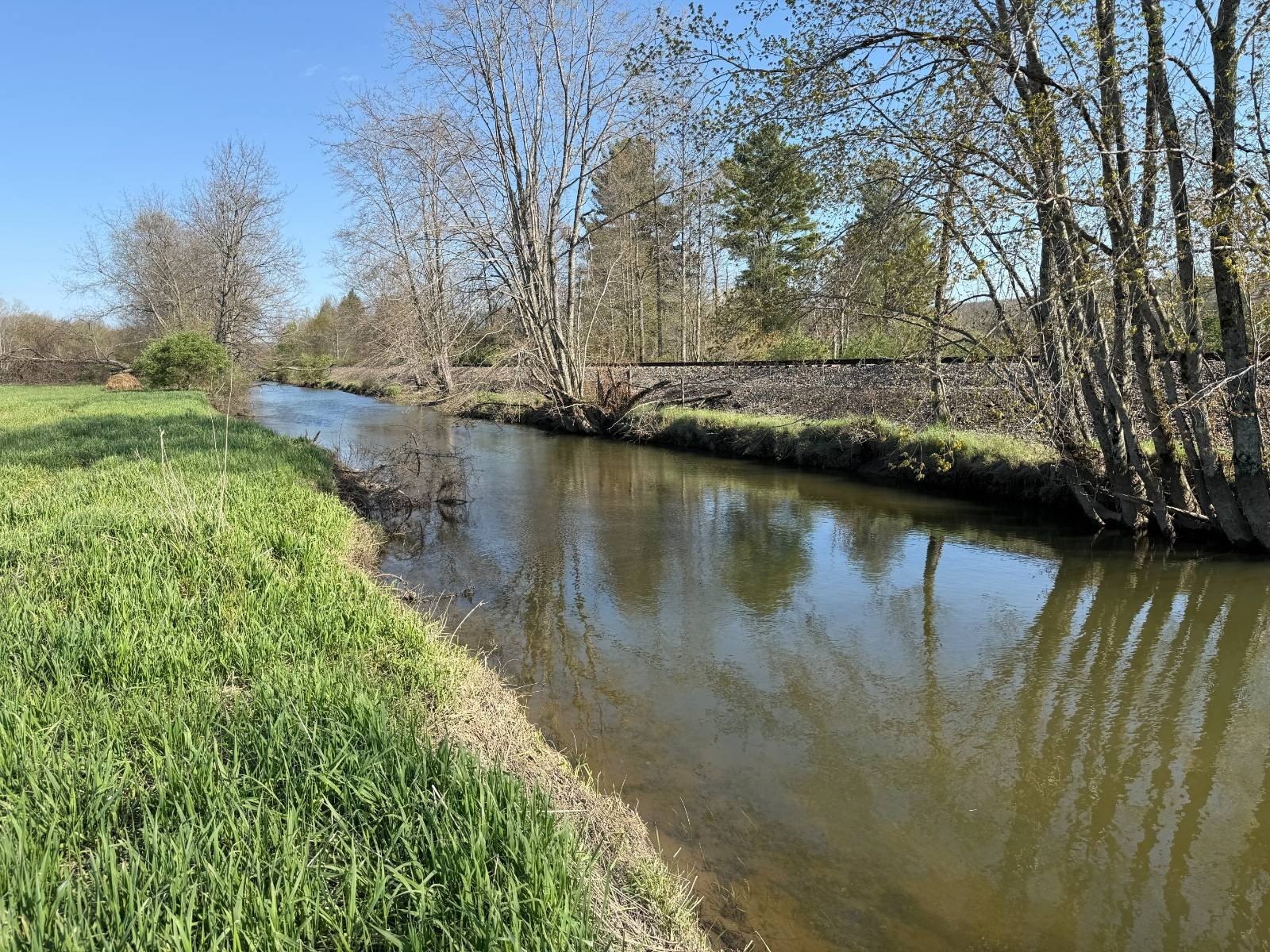75 Acres of Hunting Land
