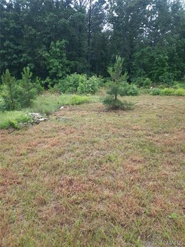 LAND - Salem, MO