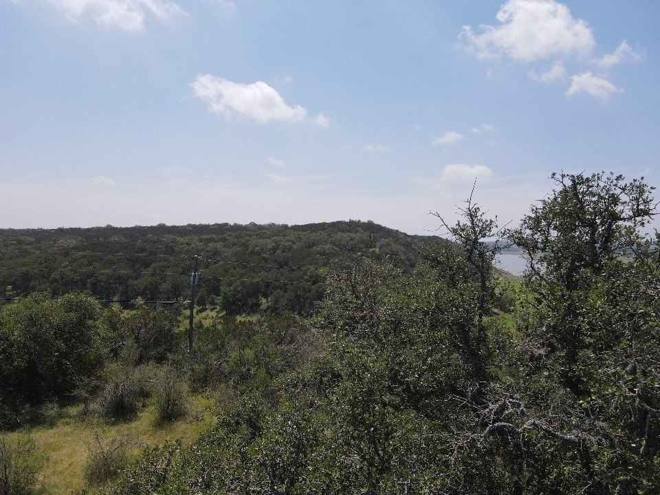 Picture 38