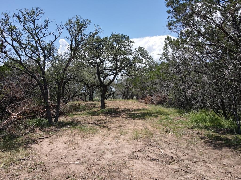Picture 26