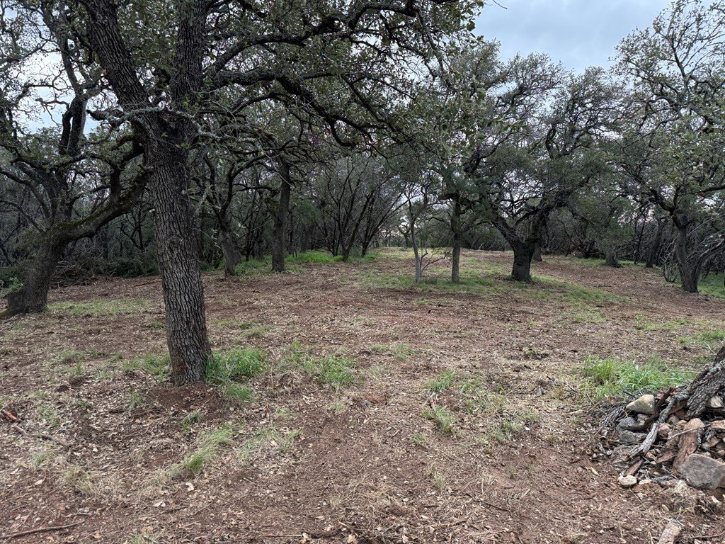 Picture 24