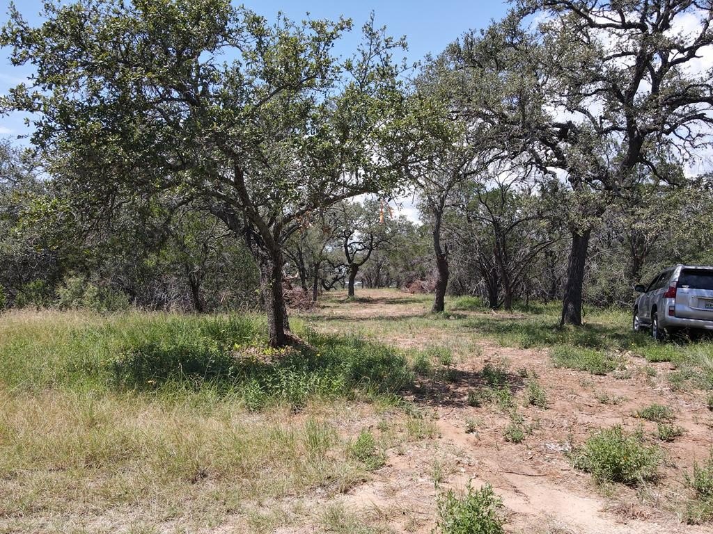 Picture 25