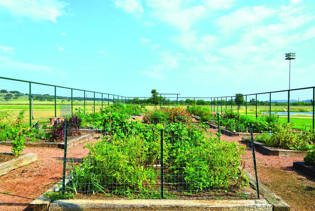 Picture 10