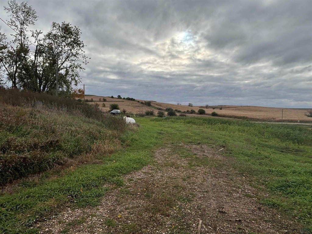 Picture 15