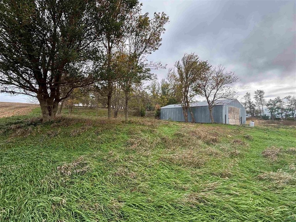 Picture 9