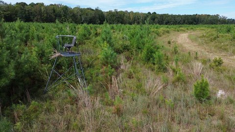 Timber Hunting Tract with Logging Roads