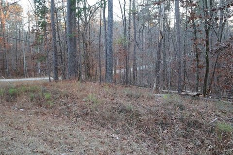 Heavily Wooded Lot Near Lake