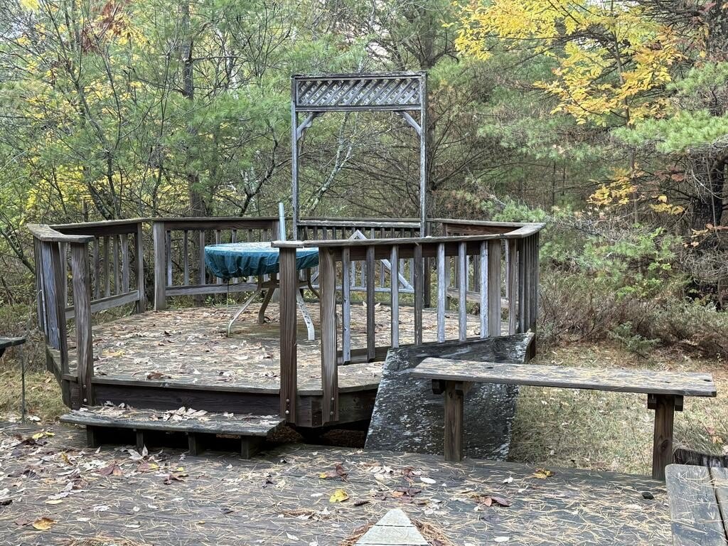 Picture 5