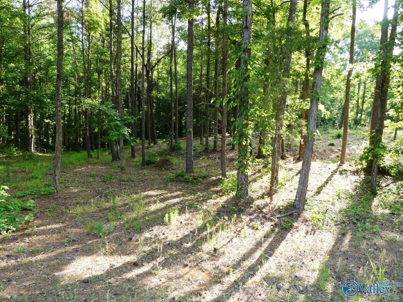 Jasper, AL Off-Water Lot