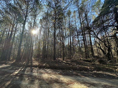 Woodland Homesite or Recreational Tract