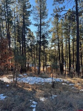 Land in Bayfield, Colorado