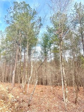 LAND - Broken Bow, OK