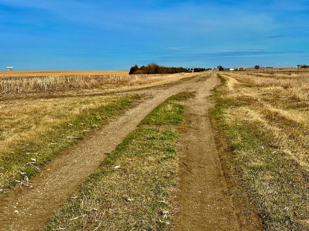 Picture 63