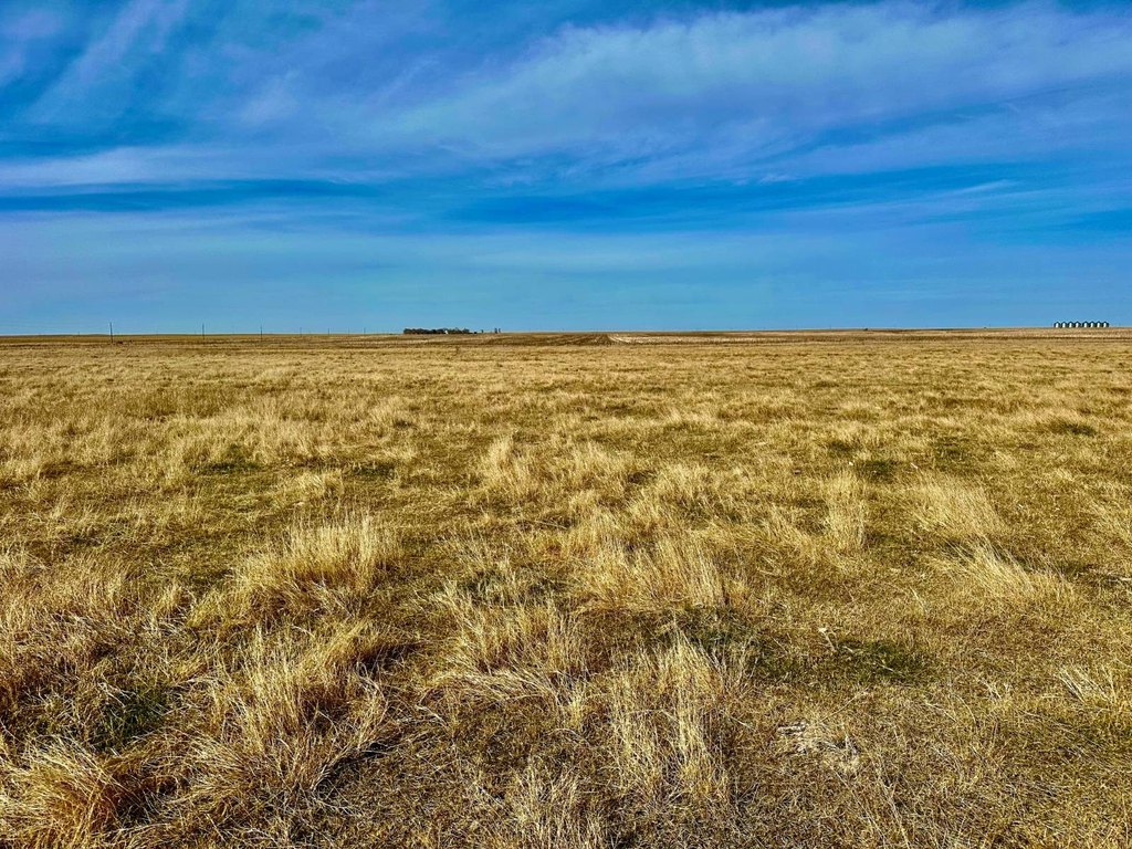 Picture 53