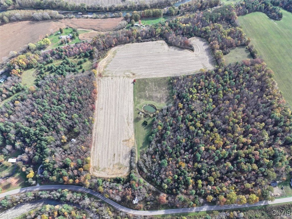 33 Acres of Farmland, Recreation