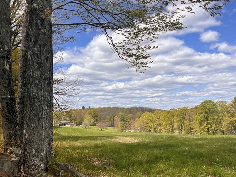 Ready-to-Build Hillside Home Lot