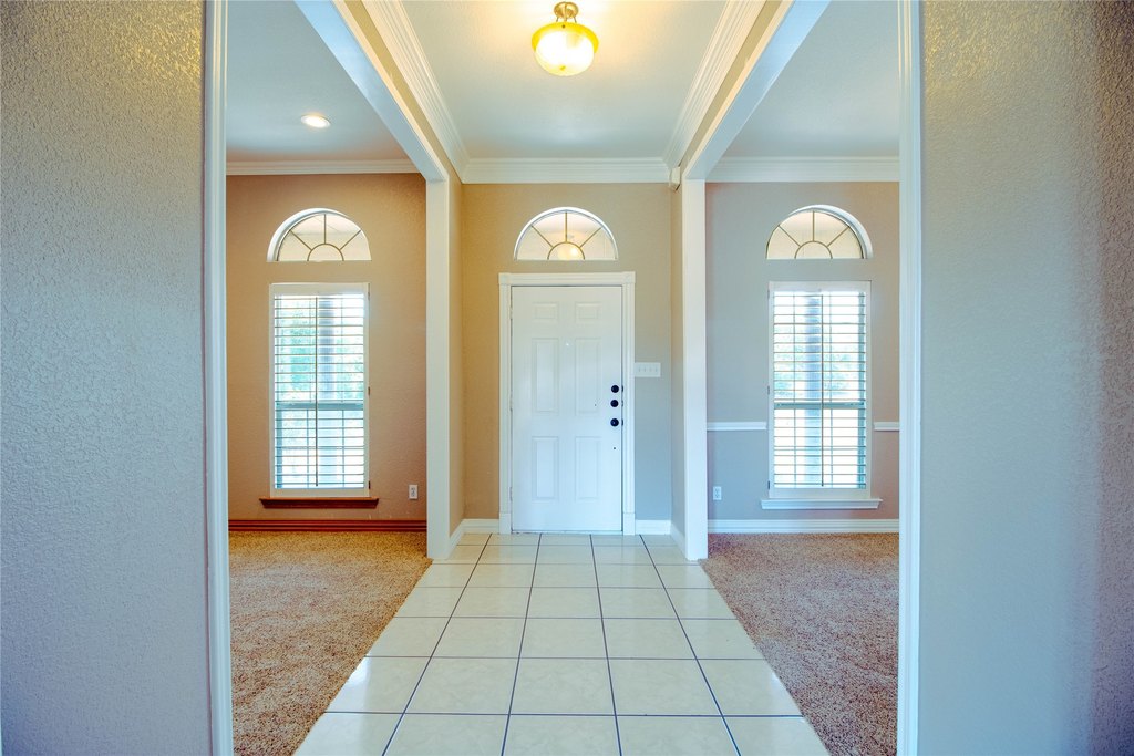 Picture 7
