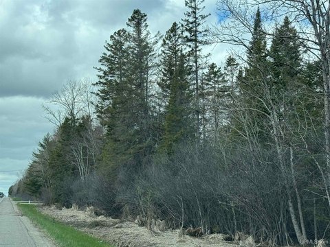 Escanaba Land on Busy Highway