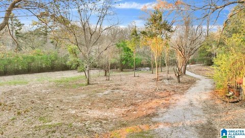 LAND/LOTS, MONTEVALLO, AL