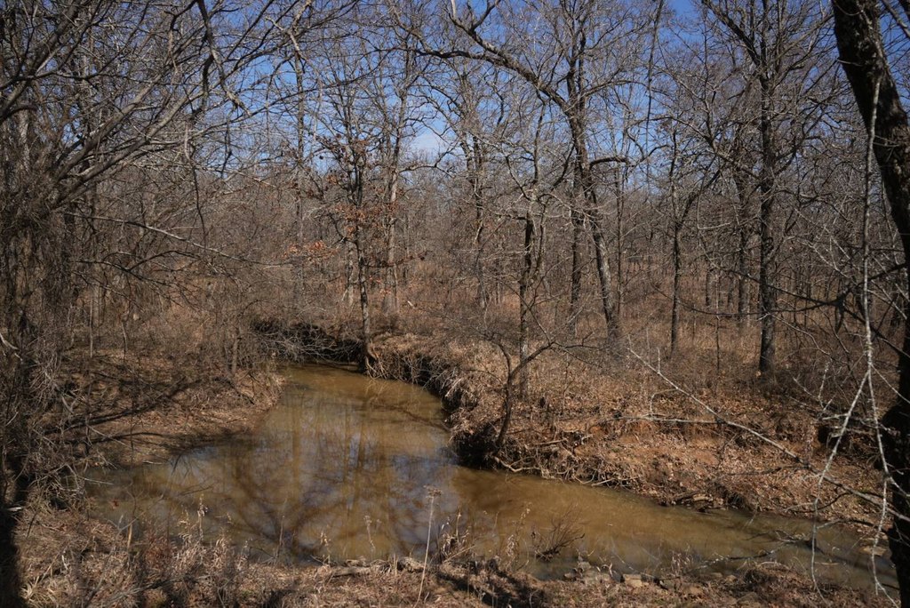 Picture 47