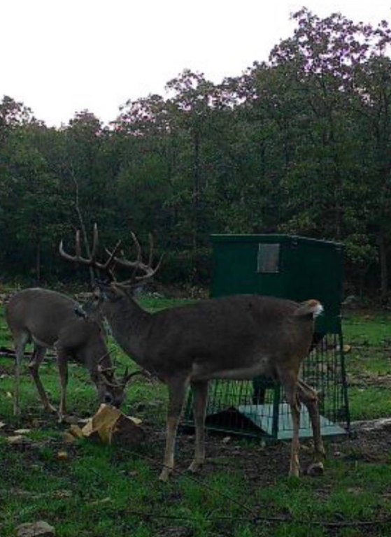Picture 9