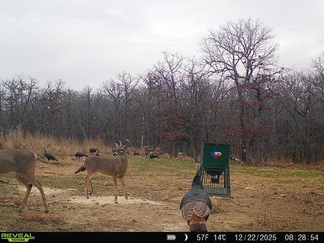 Picture 6