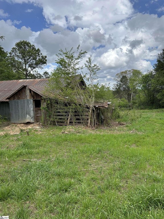 Picture 11
