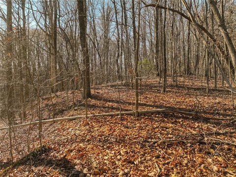 Land, Murrayville, GA
