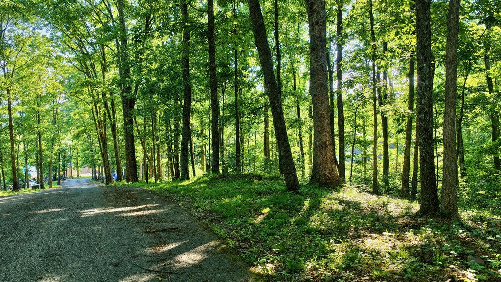 Picture 4