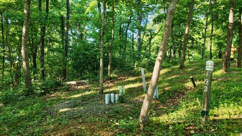 LAND - Caldwell, WV