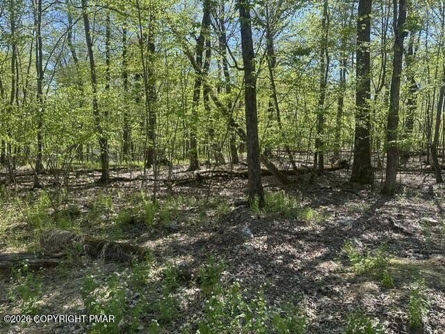 Pocono Land for Dream Home