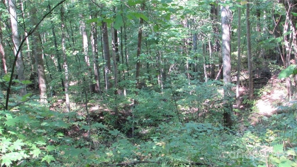 Mars Hill Land Opportunity