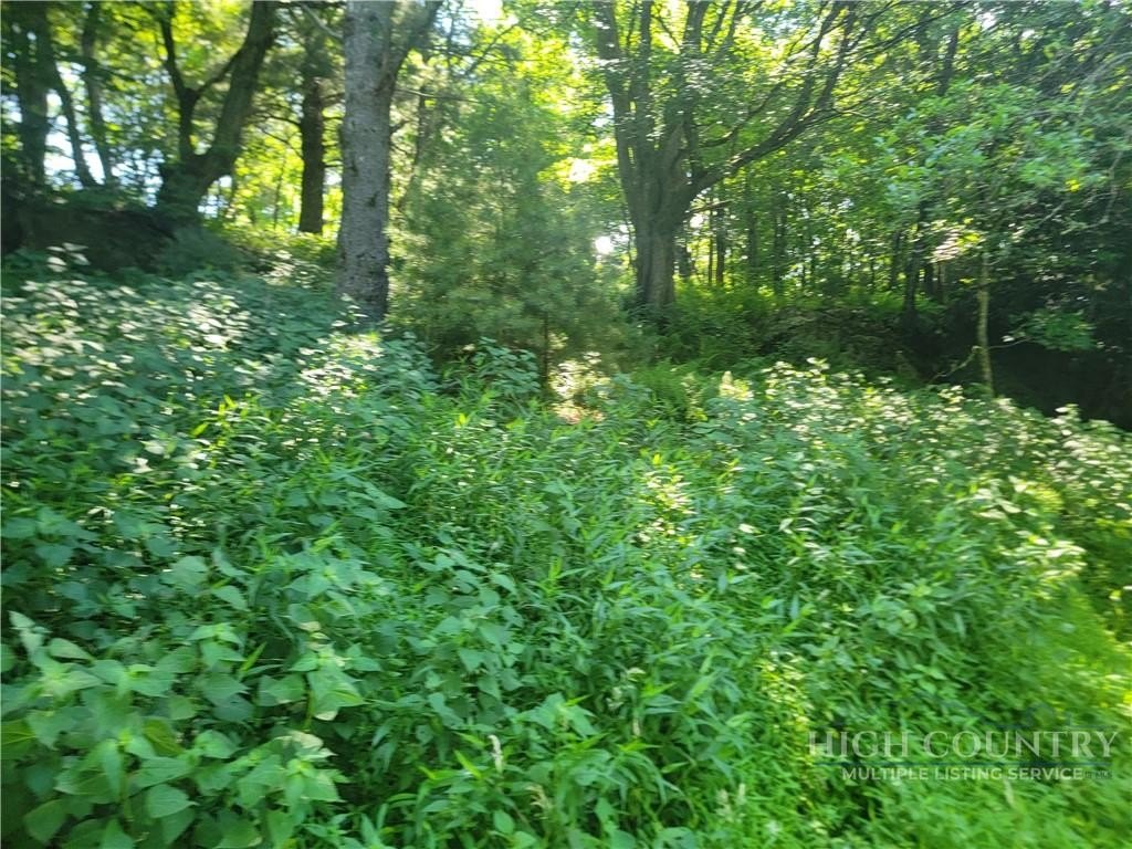 Picture 3