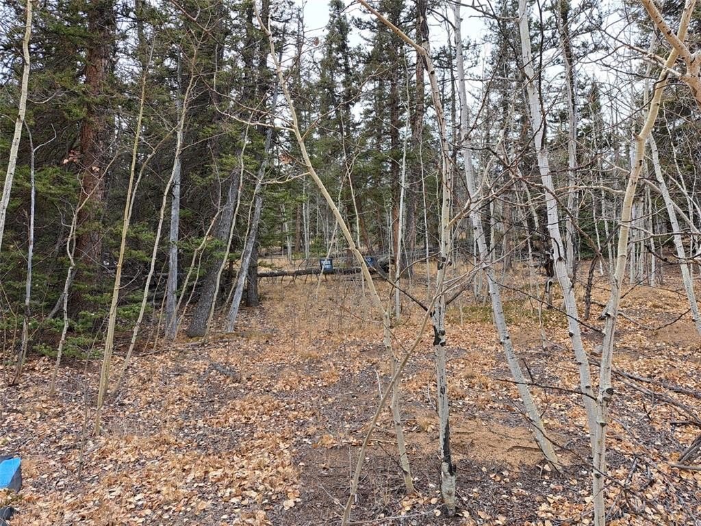 Picture 14