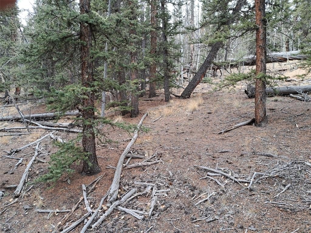 Picture 11