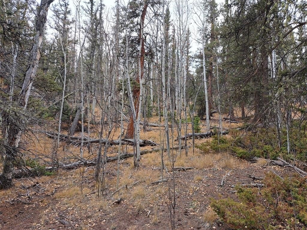 Picture 9