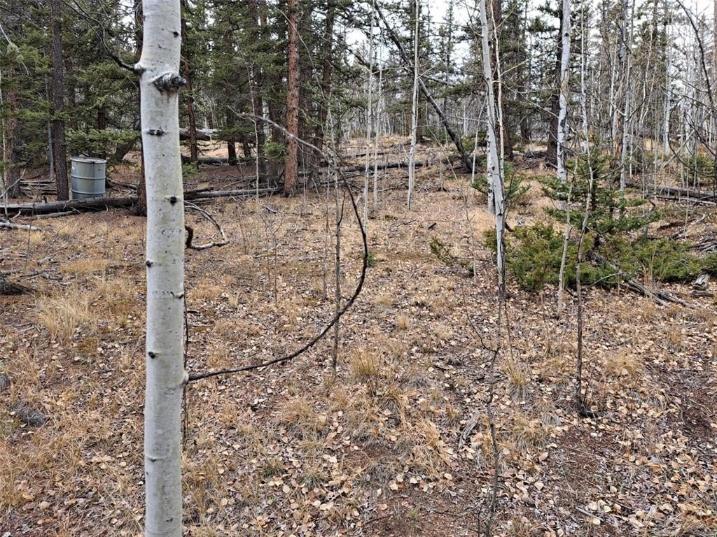 Picture 8