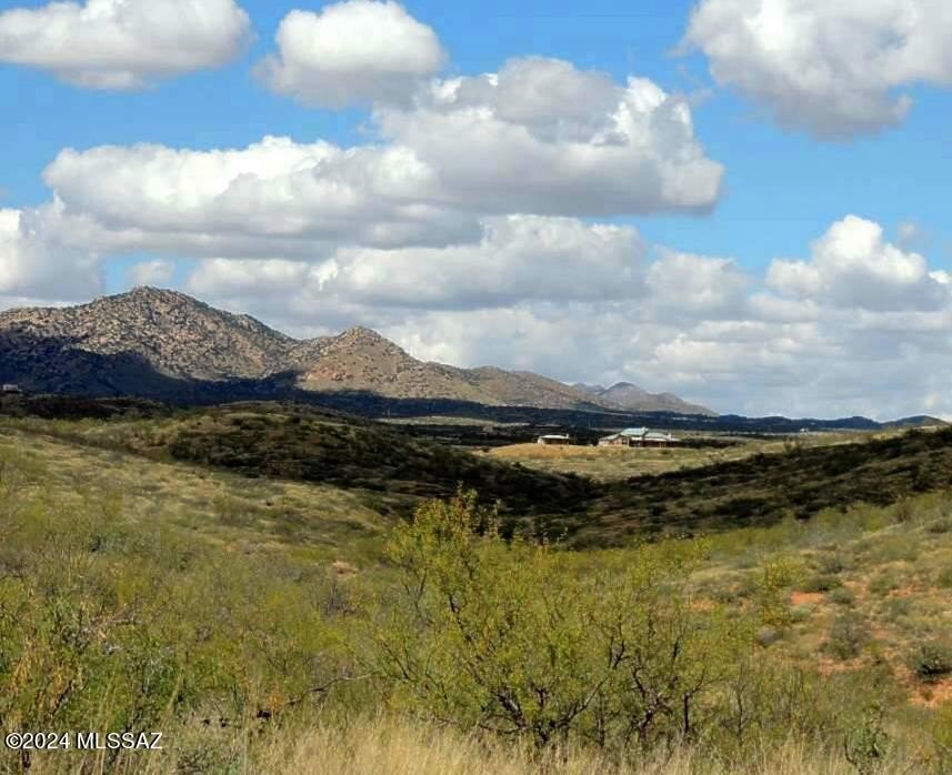 77 Acres in Elfrida, AZ