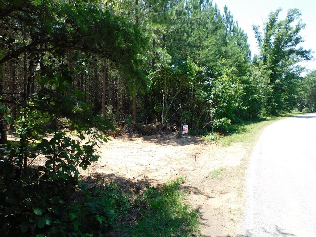 Picture 6