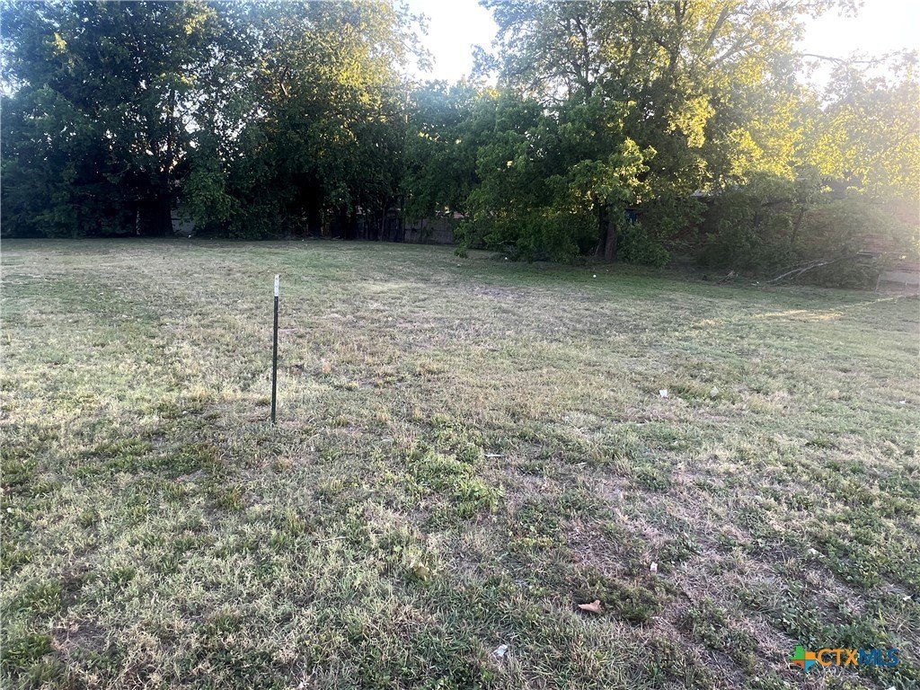 Picture 3