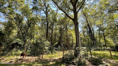 Gulfport Land with Hardwoods