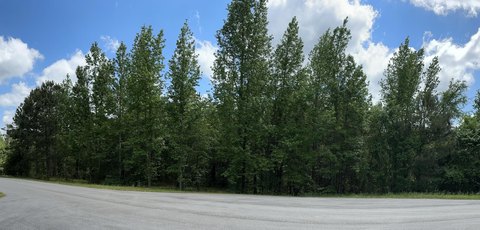 Residential Wooded Lot in Appling