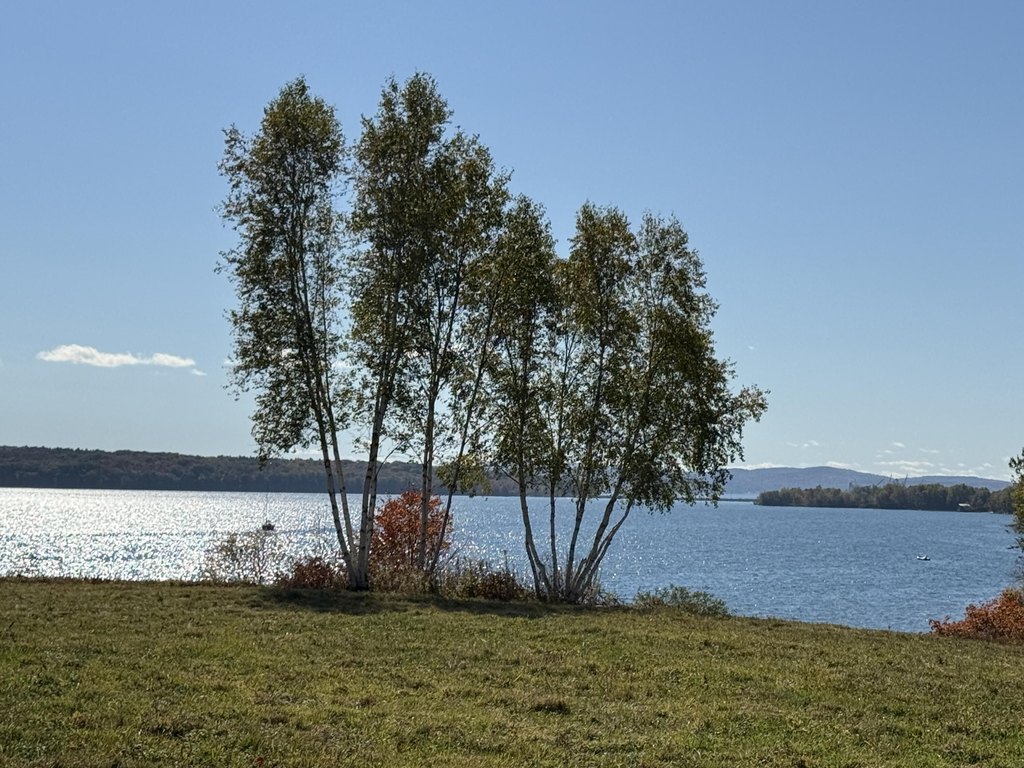 Picture 21