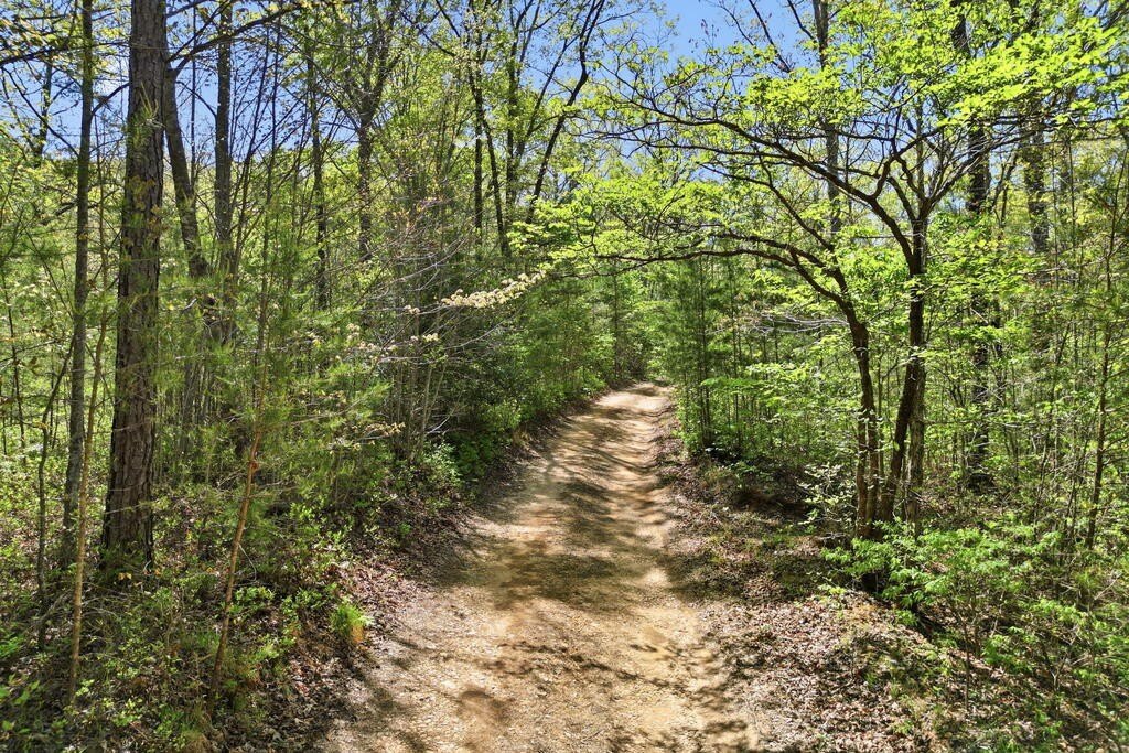 Picture 4